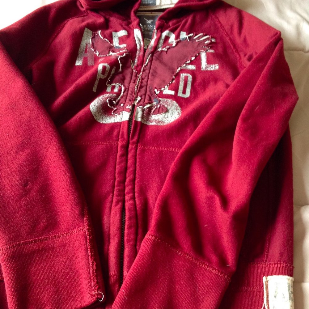 American Eagle Vintage Fit Hooded Sweatshirt - Picture 2 of 9